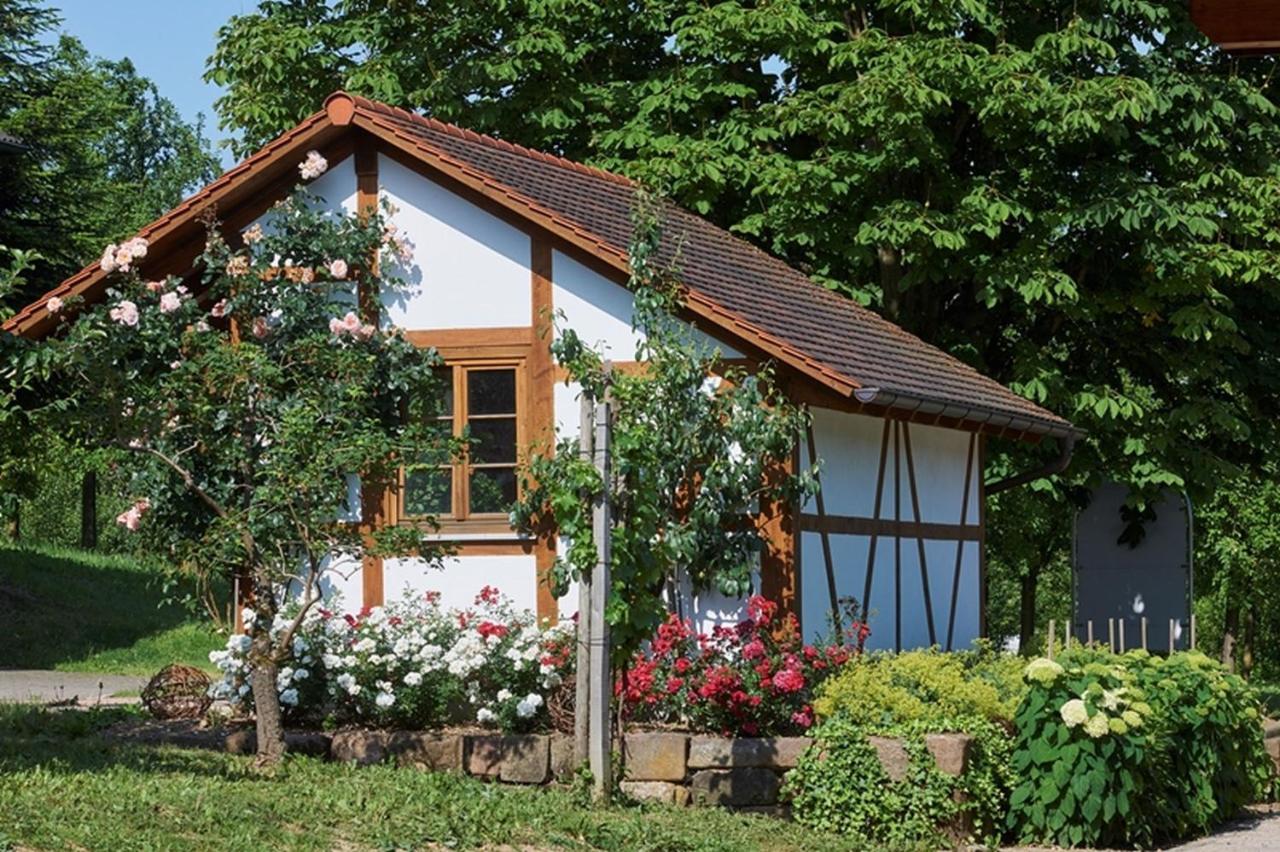 Апартаменти Winzerhof Woerner Дурбах Екстер'єр фото